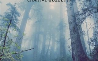 Nebbia di Chantal Guzzetti