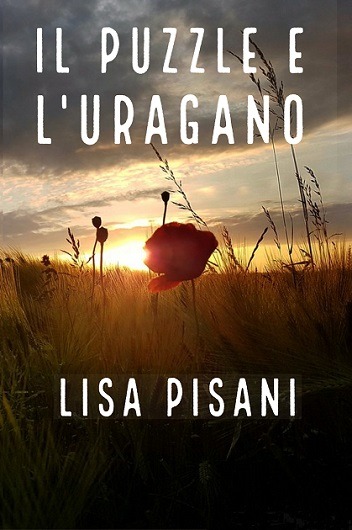 Il puzzle e l'uragano di Lisa Pisani